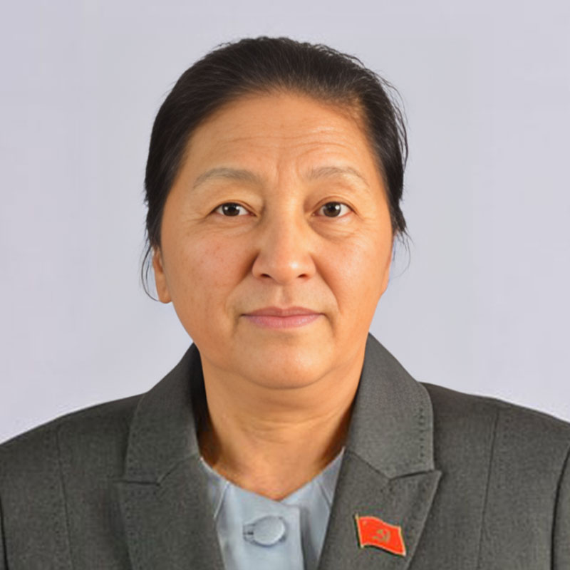 นาง ปานี ยาทอตู้ รองประธานประเทศ