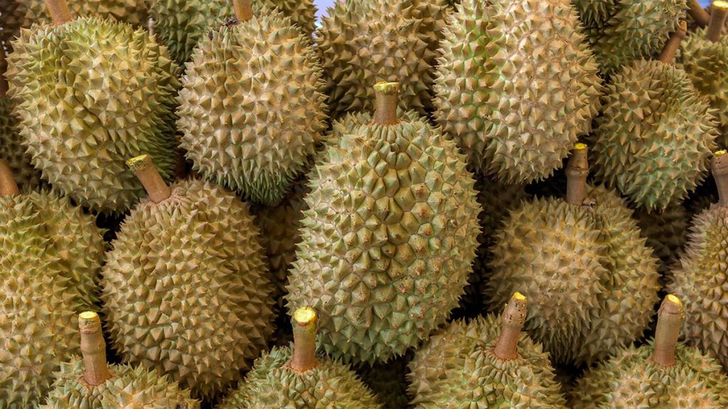 ทุเรียนลาว