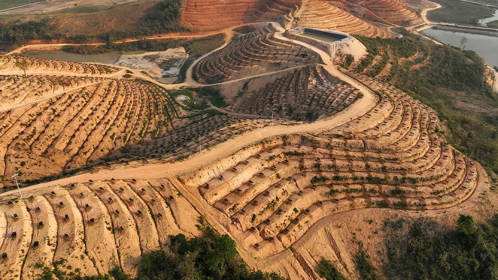 สวนทุเรียน สามเหลี่ยมทองคำ