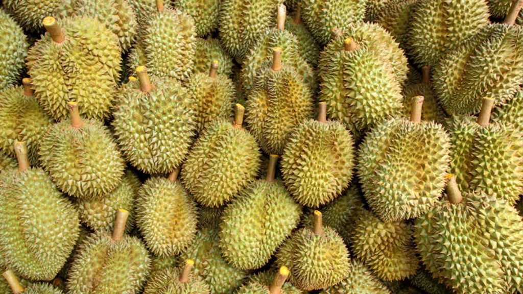 ทุเรียนลาว