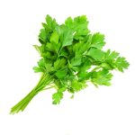ขึ้นฉ่าย-ເຊນາລີ້-150x150.jpg